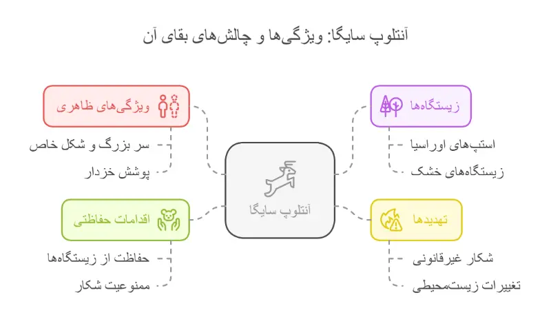 بزکوهی سایگا